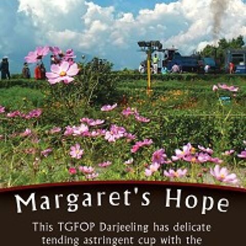 MARGARET'S HOPE DARJEELING
