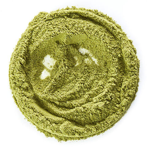 Pumpkin Pie Matcha