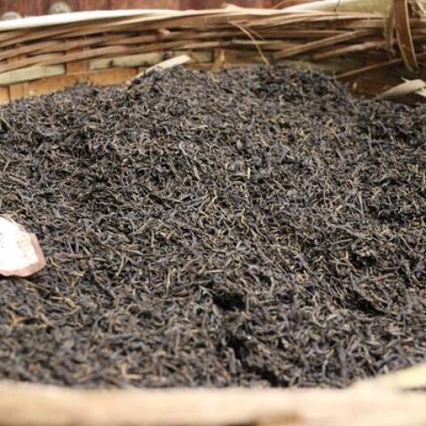 2011 Three Cranes "15010" Liu Bao Tea from Guangxi 2011 Three Cranes "15010" Liu Bao Tea from Guangxi