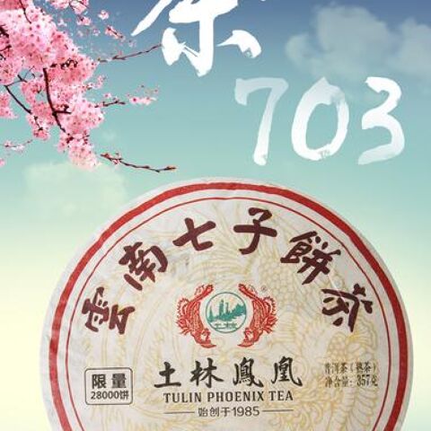 2019 Nan Jian Tu Lin 703 Ripe Pu-erh Tea Cake