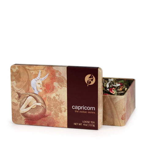 capricorn capricorn