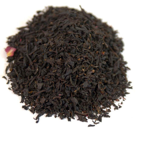 Kashmir Rose Kashmir Rose