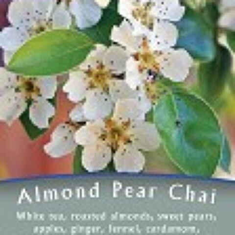 ALMOND PEAR CHAI ALMOND PEAR CHAI