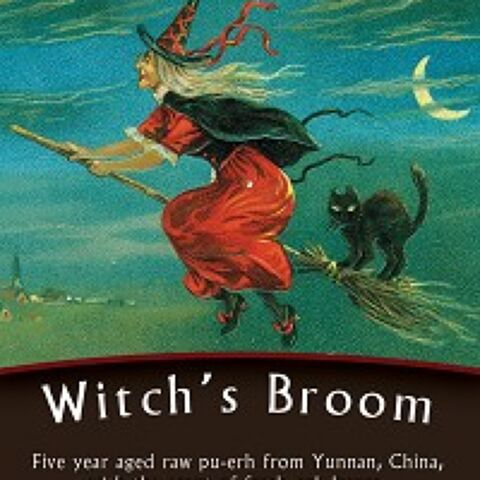 Witch's Broom