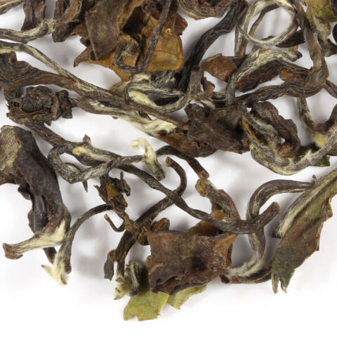 Formosa Fancy Bai Hao