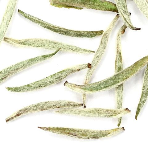 Silver Needle Silver Needle