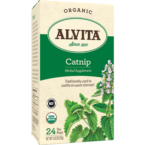 CATNIP HERBAL TEA BAGS