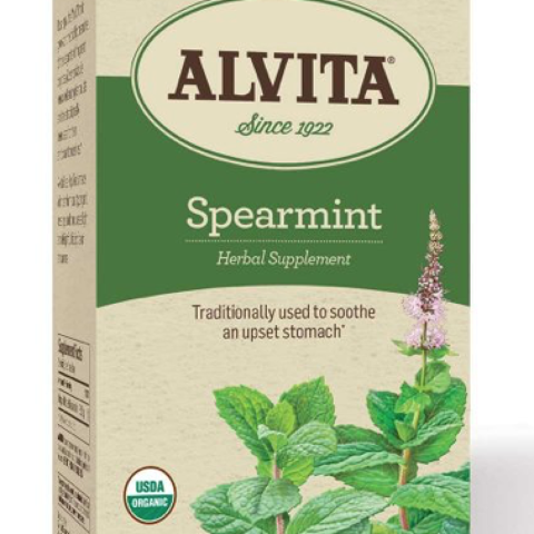 SPEARMINT LEAF HERBAL TEA BAGS