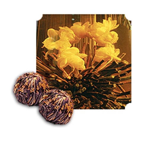 GOLDEN JASMINE GOLDEN JASMINE