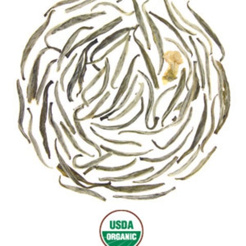 SILVER NEEDLE JASMINE WHITE TEA BLEND SILVER NEEDLE JASMINE WHITE TEA BLEND