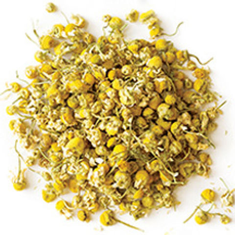 Golden Chamomile Blossoms Golden Chamomile Blossoms