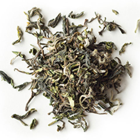 Darjeeling First Flush Tumsong EX1 Darjeeling First Flush Tumsong EX1
