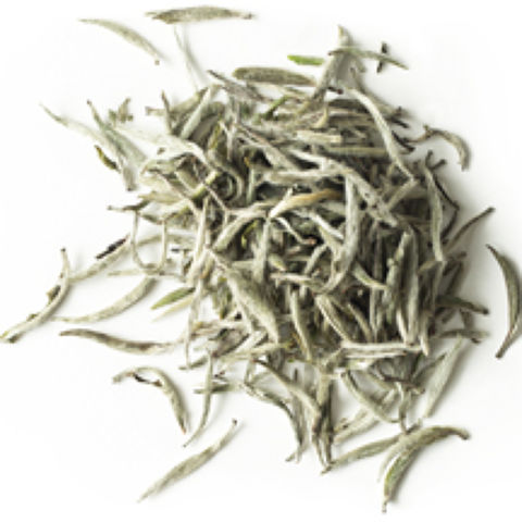 Fuding Silver Needles Fuding Silver Needles