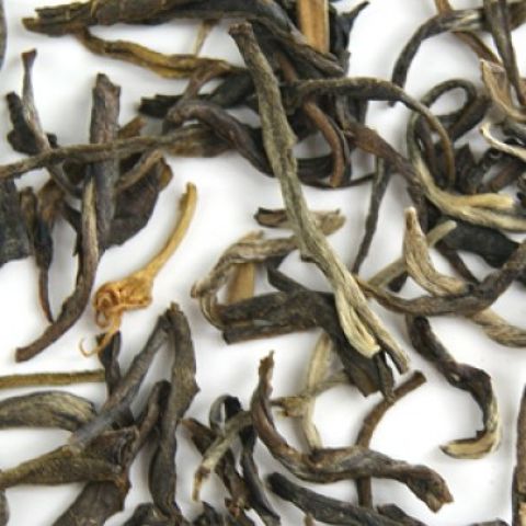 JASMINE JASMINE