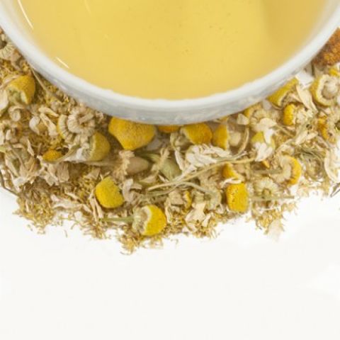 CHAMOMILE CHAMOMILE