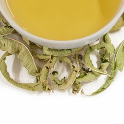 VERVEINE VERVEINE