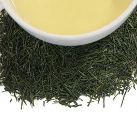MASTER'S MARK SENCHA MASTER'S MARK SENCHA