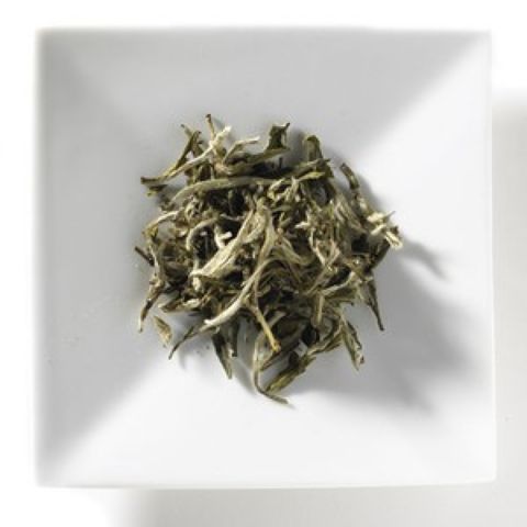 SILVER NEEDLE SILVER NEEDLE