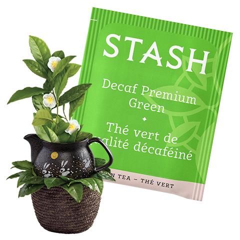 Premium Decaf Green Tea