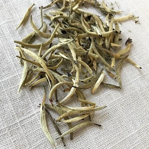 Silver Needle White Tea Silver Needle White Tea