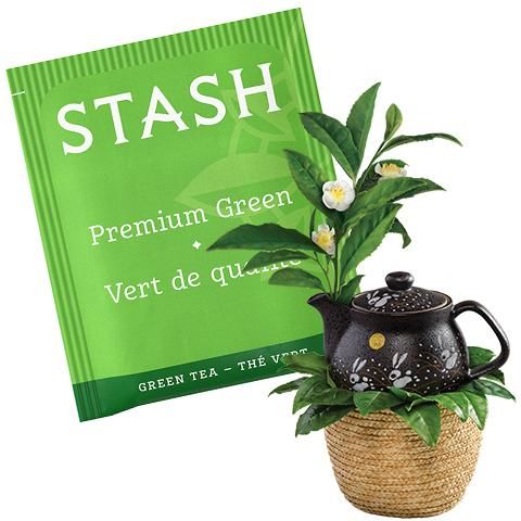 Premium Green Tea