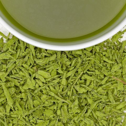 VERY BERRY MATCHA
