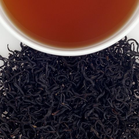 Black Wild Forest Twist