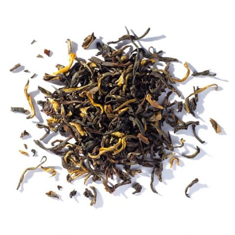 Pride of the Port Loose Leaf