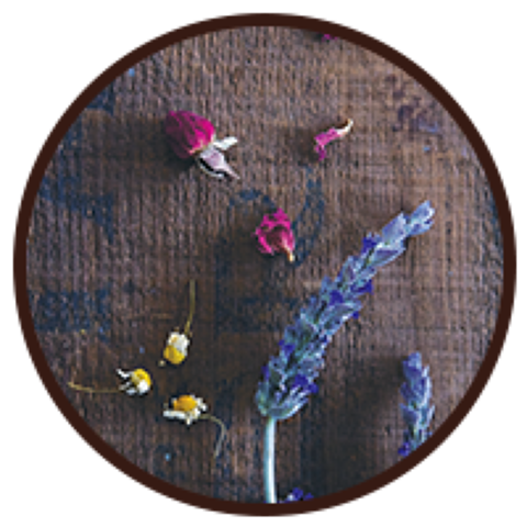 Rosy Chamomile