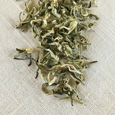 Snow Sprouting Green