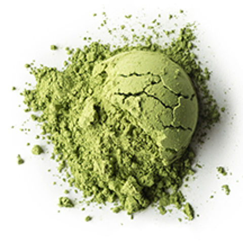 Barista Matcha Barista Matcha