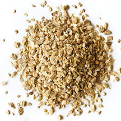 Organic Ginger Organic Ginger