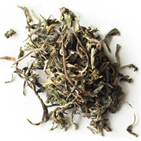Darjeeling First Flush Shree Dwarika EX3 Darjeeling First Flush Shree Dwarika EX3