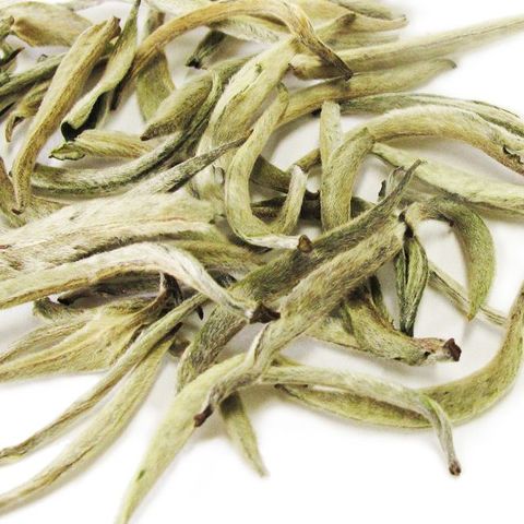 Silver Needle Silver Needle