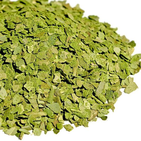 Matcha Mate Matcha Mate