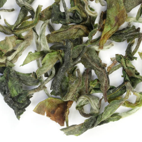 Spring Darjeeling