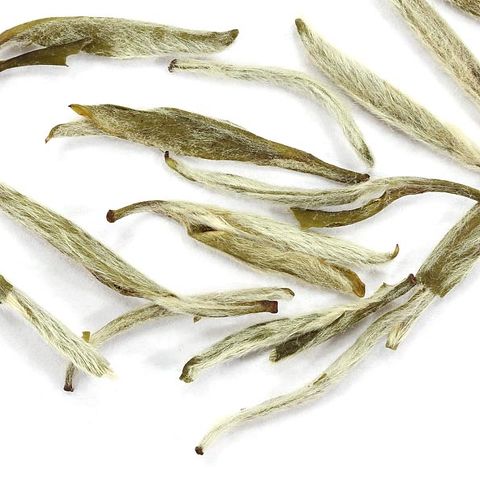 Jasmine Silver Needle Jasmine Silver Needle