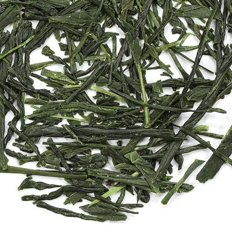sencha premier