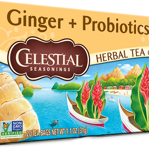 Ginger + Probiotics