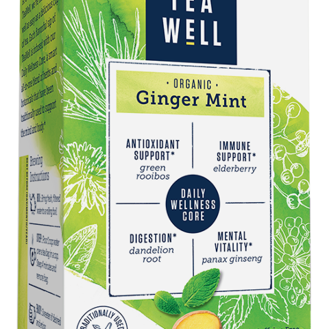 Ginger Mint Ginger Mint