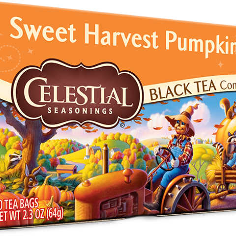 Sweet Harvest Pumpkin